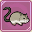 %E6%A3%AE%E3%81%AE%E8%B3%A2%E7%8E%8B%E3%83%8F%E3%83%A0%E3%82%B9%E3%82%B1icon.png